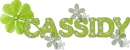 Cassidy