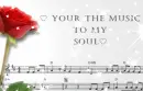 Music to my Soul