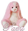 FLOPPY: PAMI