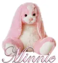 FLOPPY: MINNIE