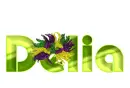 delia
