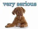 very serious