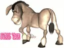 missing u