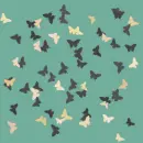 Birdy