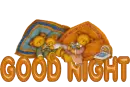 good night