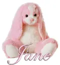 FLOPPY: JANE