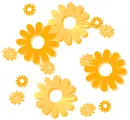 yellow flowers