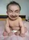 baby bean