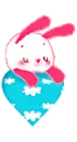 cute bunny
