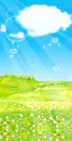 field