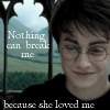 HP love
