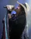 Steven Tyler (singing)