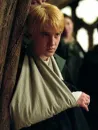 draco