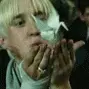 draco