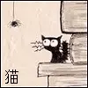 Black cat