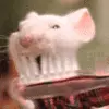 Stuart little