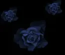 glittering text