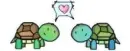 turtle love