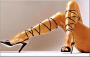 Legs & High Heels