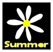 Daisy Summer