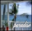 paradise