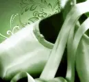 ballet shoes green photo