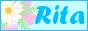 Rita online icon