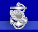 Navy Nurse Corps