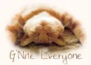 g nite everyone