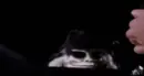 Blade knifes