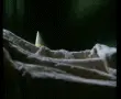 Tunneler Climbs aboard a Bed