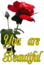 UR Beautiful
