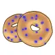 Blueberry Bagel