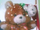 winterie