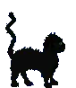 Cat Boo