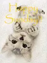 happy sunday