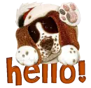 Hello!