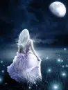 Fire Flies