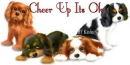 cheer up its ok