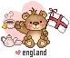 England bear