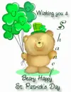 Wishing you a beary happy St patricks day Shanel