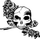 skull