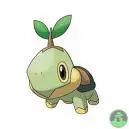 turtwig
