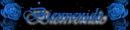 network banner