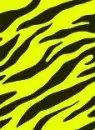 yellow zebra