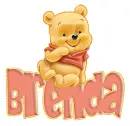baby winnie pooh brenda