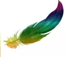 feather