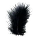 feather