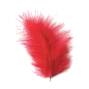 feather