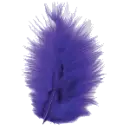 feather